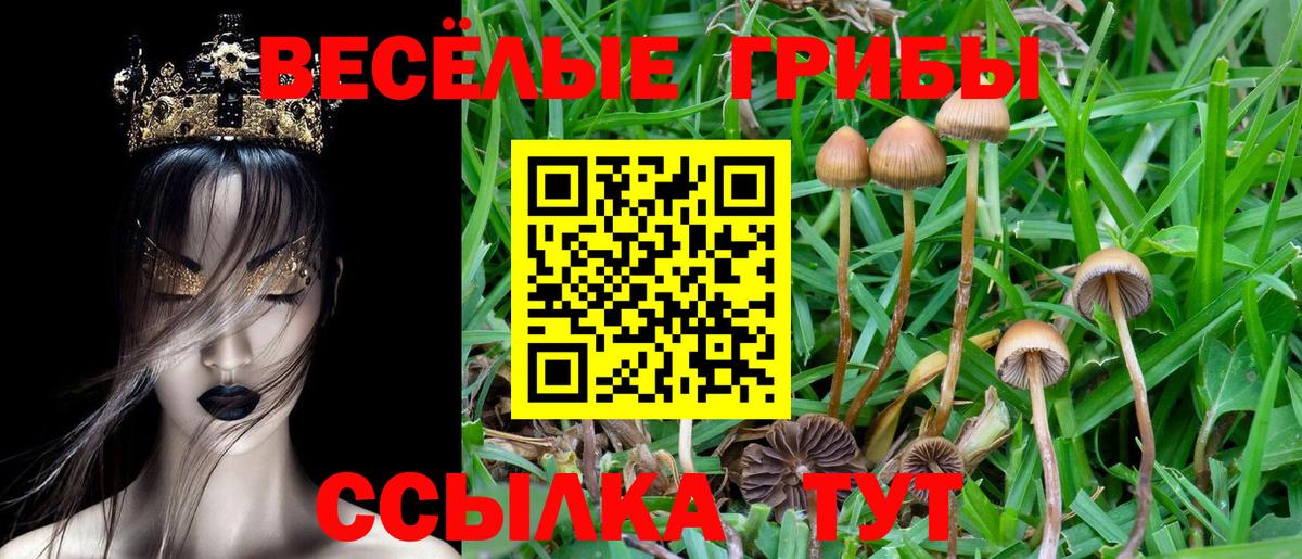 Псилоцибиновые грибы Psilocybine cubensis  купить закладку  Галлюциногенные грибы мухоморы  Михайловка  Вход с VPN 