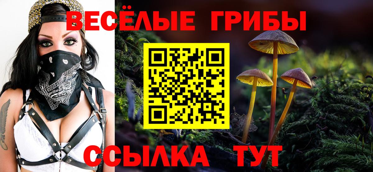 Псилоцибиновые грибы ЛСД Михайловка